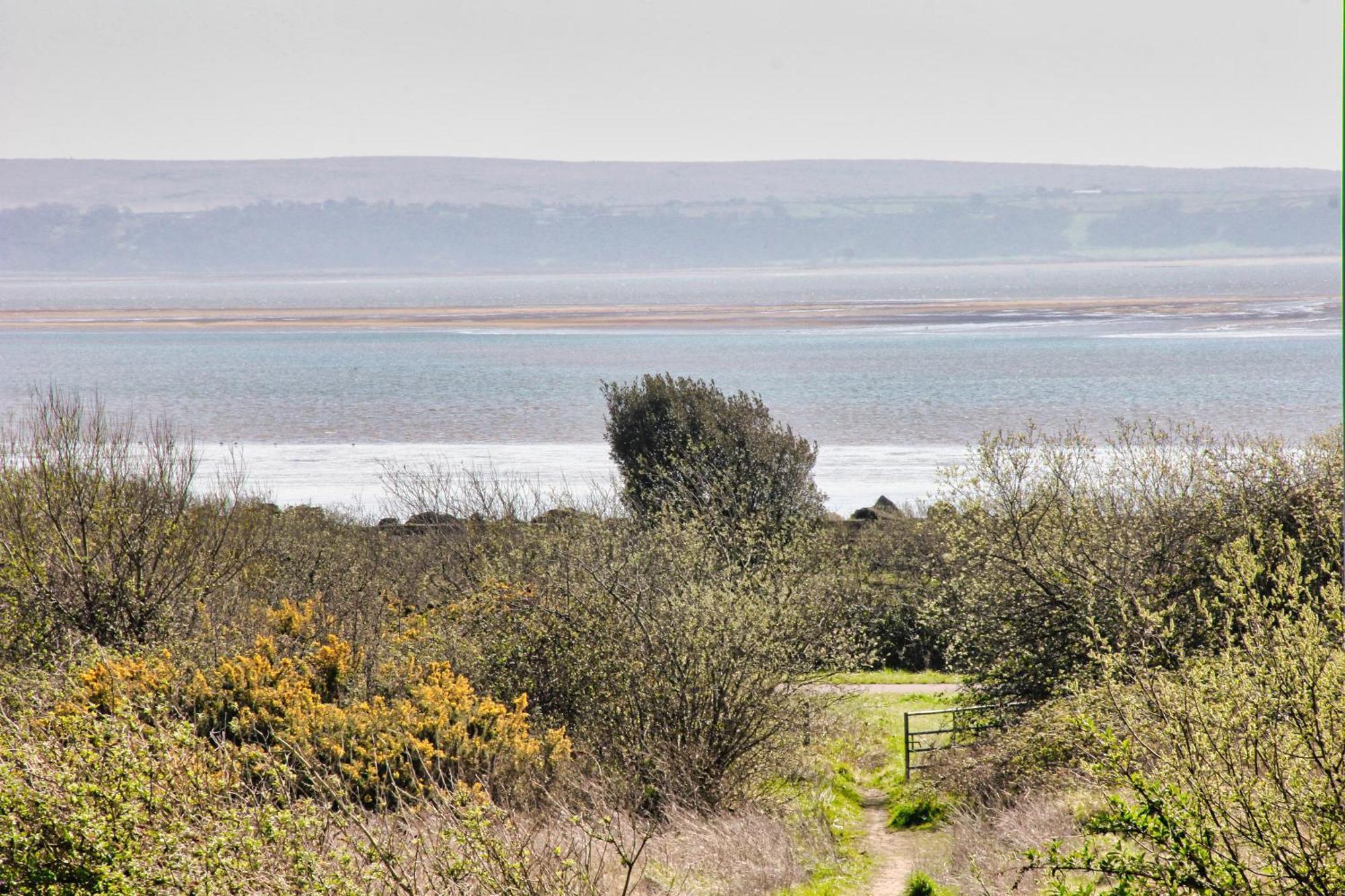 Blue Rose Cottage Burry Port Bilik gambar